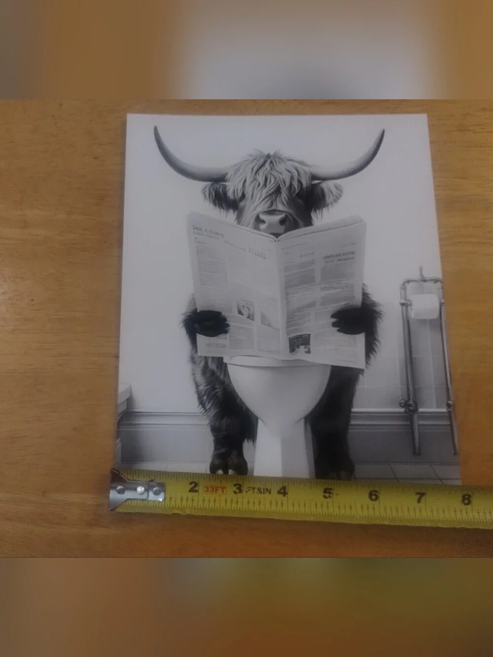 Funny Highland Cow Toilet Wall Art Print Farmhouse Bathroom Decor 8x10